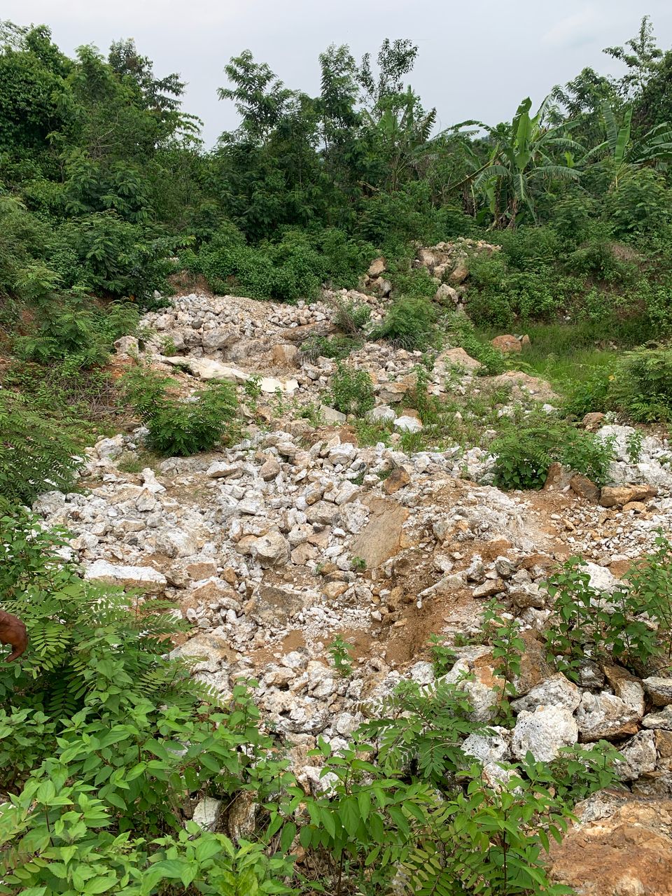 WhatsApp Image 2025-03-26 at 7.17.58 PM (2)