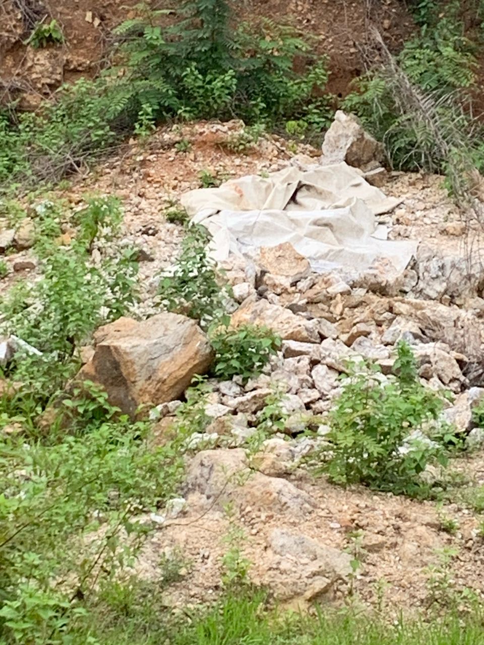 WhatsApp Image 2025-03-26 at 7.17.58 PM (3)