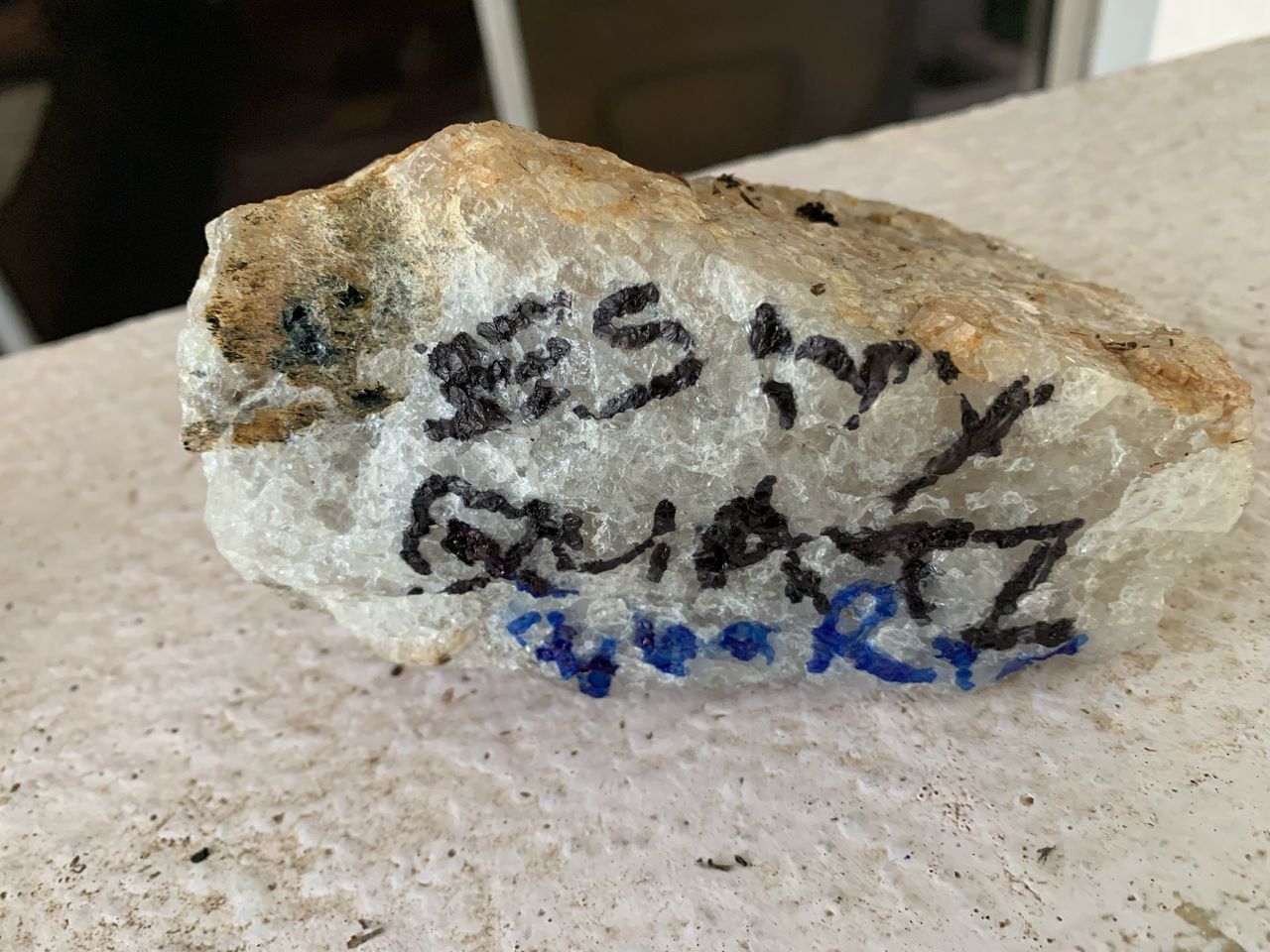 WhatsApp Image 2025-04-10 at 7.50.27 PM