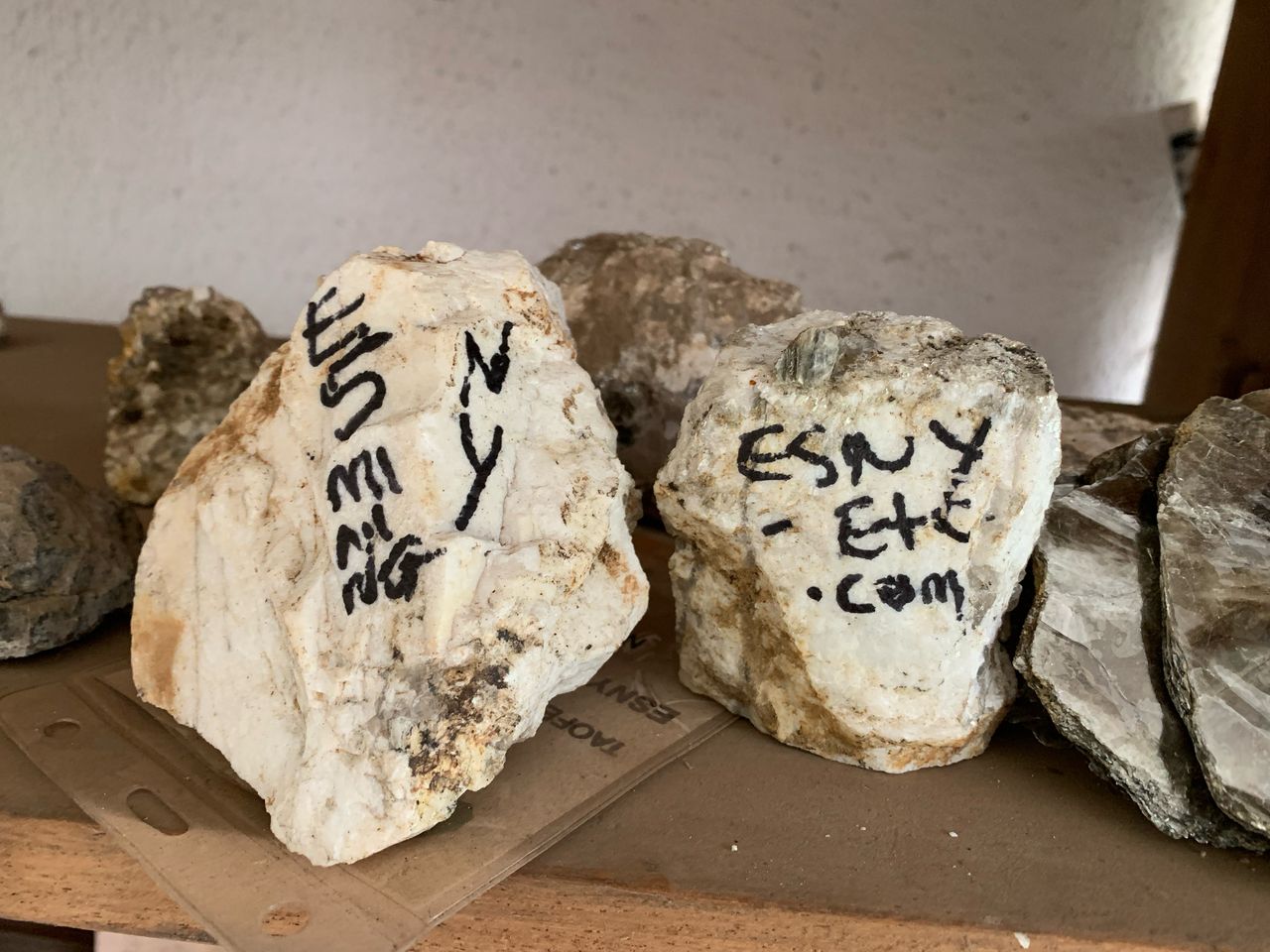 WhatsApp Image 2025-04-10 at 7.50.28 PM (1)