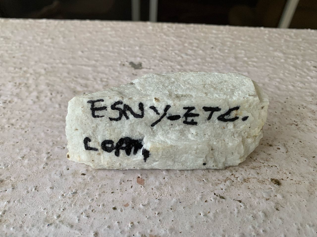 WhatsApp Image 2025-04-10 at 7.50.28 PM