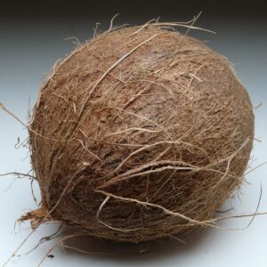Coconut