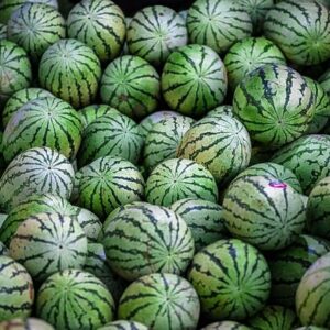 Watermelon